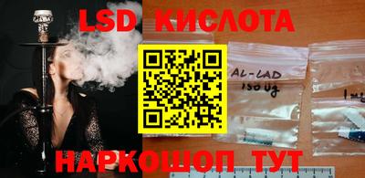 spice Рыбинск