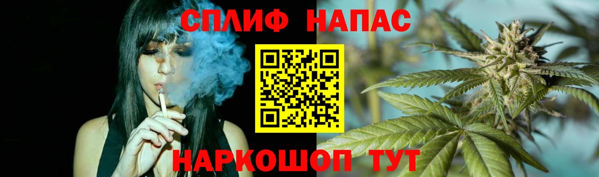 Канабис ГИДРОПОН Нововоронеж